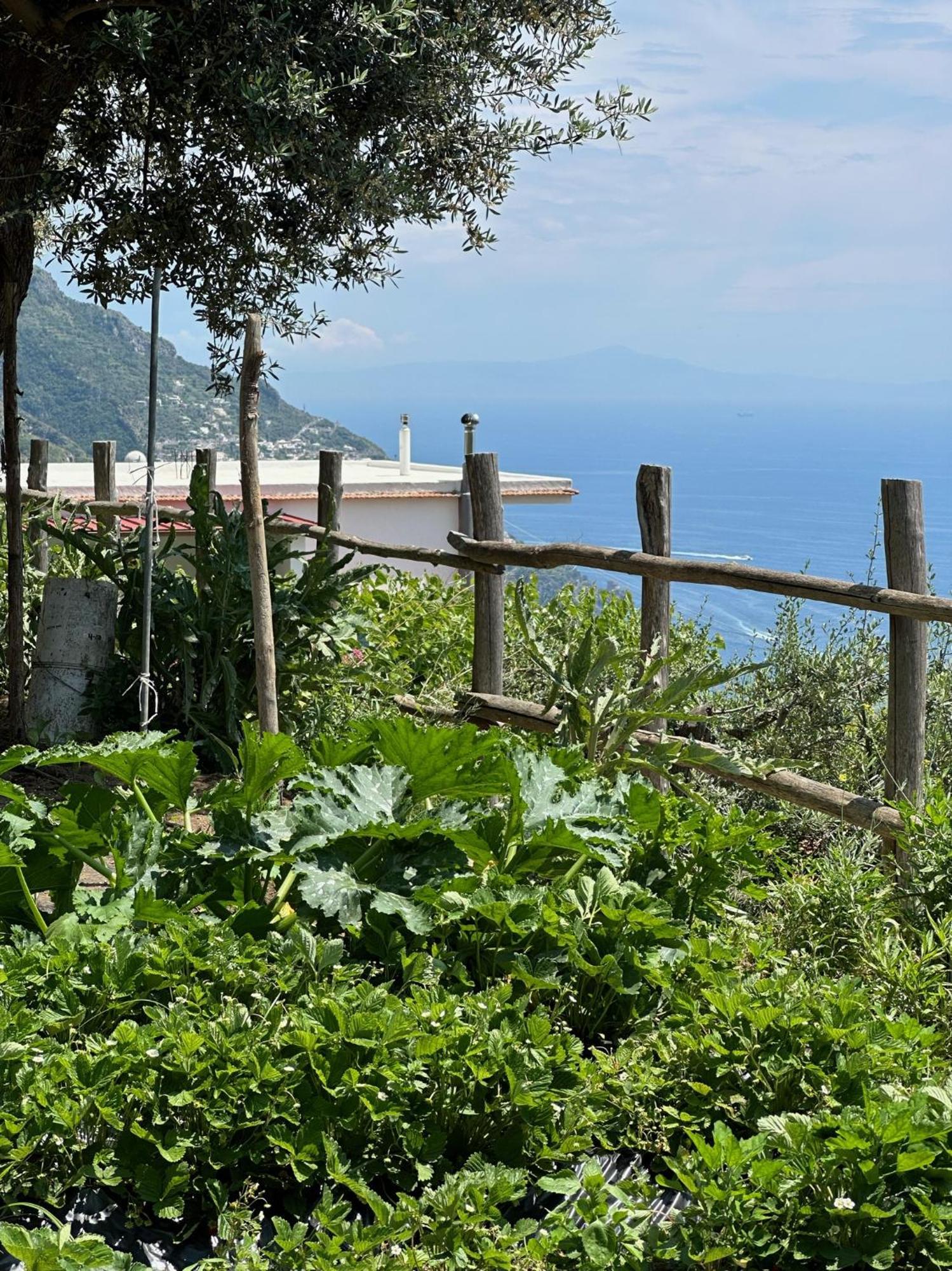 Casa Vacanze Il Libeccio Positano Exterior photo